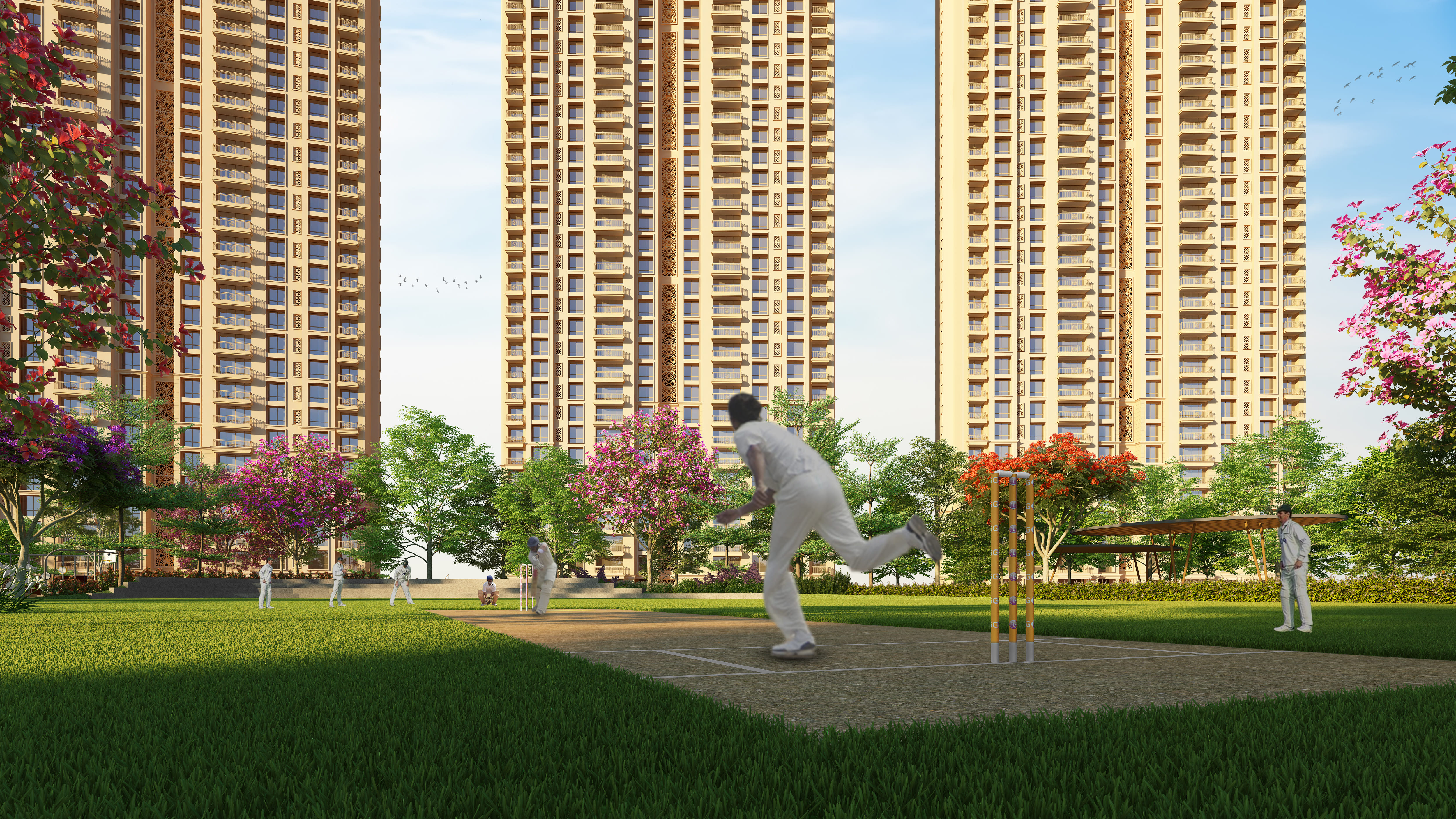 Cricket